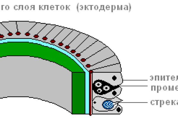 Kraken ссылка на сайт тор