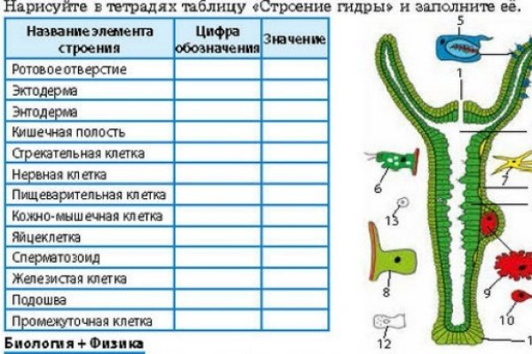 Кракен сайт официальный